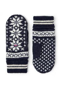 Hestra Isvik Mitt Handschuhe (Gr 7 |blau)