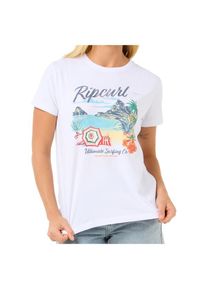 Rip Curl Crystal Standard Tee T-Shirt Damen (Gr XL |weiß)