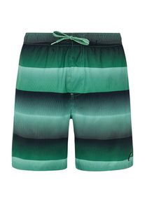Badehose Protest PRTRadar Herren (Gr S |türkis)