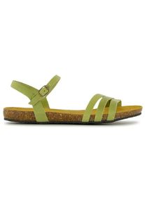 Plakton Alou Sandalen Damen Freizeit (Gr 36 |oliv)
