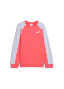 Puma Kinder Sweatshirt "SPORT CREW TR G"peach frost, sportlich, Gr. 164, unifarben, Sweatware, Obermaterial: 68% Baumwolle, 32% Polyester, Sweatshirts