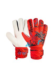 Reusch Damen Torwarthandschuhe "Attrakt Solid", rot, sportlich, Gr. 8, mehrfarbig, 29% Polyester, 5% Polyurethan, 1% Baumwolle, Handschuhe, mit gutem