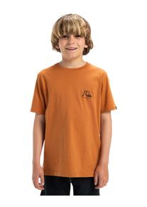 Quiksilver Kinder Shirttop "Evo Original"bran, Gr. 16, [Hauptstoff] 100% Baumwolle, Tops