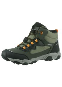 Geox Kinder Sneaker "J MAGNETAR BOY B ABX", Gr. 24, grün, Lederimitat, Textil, sportlich, Schuhe, Trekkingboots, Schnürboots, Kindergartenschuh mit