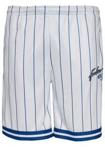 Fubu Herren Shorts "Fubu Herren FM232-013-1 Fubu Retro Pinstripe Shorts", weiß, Gr. XL, gestreift, 100% Polyester, Hosen