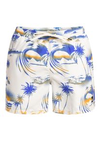 Quiksilver Herren Boardshorts "The Airbrush"birch airbrush jo print, Gr. M, 100% Polyester, Hosen