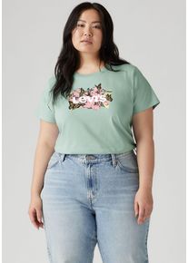 LEVI'S® PLUS LEVI'S PLUS Damen T-Shirt "PL PERFECT TEE"levi's horse poster pirate schwarz, casual, Gr. XXL, Single Jersey, Obermaterial: 100% Baumwolle, Shirts