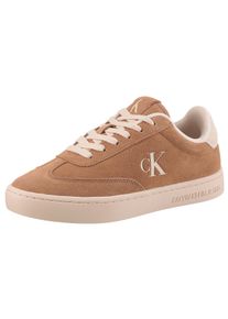 Damen Plateausneaker "CLASSIC CUPSOLE LACEUP WT WM", Calvin Klein Jeans, Gr. 39, braun, Veloursleder, kontrastfarbene Details, sportlich, Schuhe,