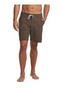 Billabong Herren Boardshorts "Every Other Day 17.5"", braun, Gr. 32, 72% Polyester, 20% Baumwolle, 8% Elasthan, Hosen