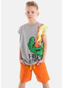 DENOKIDS Herren Hausanzug "T-Rex Flame", Gr. 134, grau, 65% Baumwolle;35% Polyester, bedruckt, casual, Homewear-Sets, mit Dinosaurier-Print