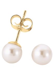 ADRIANA Damen Perlenohrringe "La mia perla, E15, E16, E17, E18, E22", 7, Gelbgold 585-Perlen, gelb, Gelbgold 585, Perlen, Ohrringe, mit