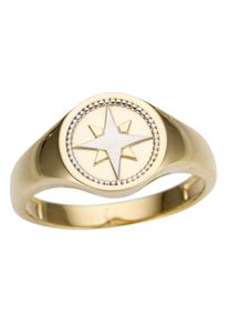 Firetti Damen Goldring "Schmuck Geschenk Gold 333 Siegelring Kompass, edel, tlw. rhodiniert", 18, Gelbgold 333, 3mm, silber, Gelbgold 333, Fingerringe