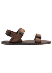 Barfußschuhe Xero Shoes D-Trail Herren (Gr 10 |braun)