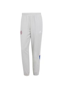 Adidas Fc Bayern München Trainingshose Herren - grau - Gr. S - Polyester