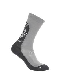 Icebreaker Merino Hike+ Light Crew Fresh Fern Wandersocken Damen (Gr L |grau)