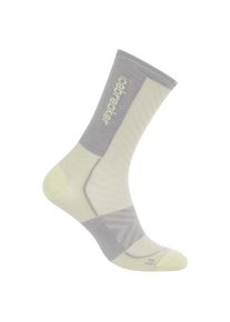 Merinosocken Icebreaker Merino Run+ Ultralight Crew Herren (Gr M |beige/grau)