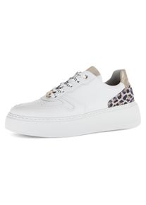 Gabor Damen Plateausneaker "FLORENZ", Gr. 35weiß, leo, goldfarben, Nappaleder, Veloursleder, sportlich, Schuhe, Freizeitschuh, Halbschuh, Schnürer,