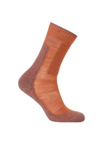 Icebreaker Merino Hike+ Medium Crew Wandersocken Damen (Gr L |bunt)