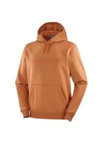 Salomon Big Logo Hoodie Hoodie Herren Alltag (Gr XL |orange)
