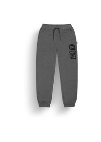 PICTURE Chill Summer Pants Trainingshose Herren (Gr L |grau)