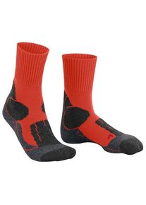 Falke TK1 Wandersocken Men (Gr&ouml;&szlig;e 39-41 |rot)