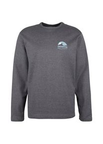 Patagonia LW Applied Imagination Wildrise Crew Pullover Herren (Gr XXL |grau)