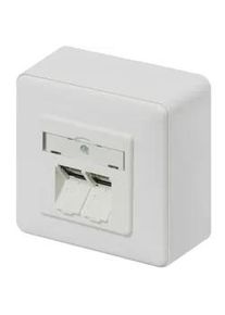 Metz CONNECT E-DAT C6 2 Port AP reinweiß RAL9010