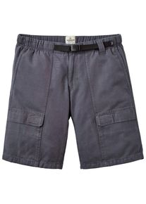 Passenger Apex Cargo Short Shorts Herren (Gr 34 |blau/grau)