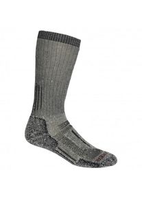 Icebreaker Mountaineer Mid Calf Wandersocken Men (Gr M |grau)