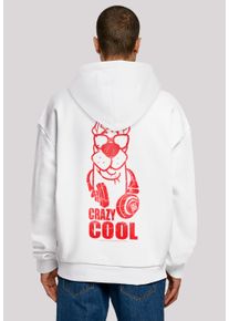 F4NT4STIC Herren Kapuzenpullover "Scooby Doo Crazy Cool", weiß, casual, Gr. L, Obermaterial: 100% Baumwolle, Pullover, Print