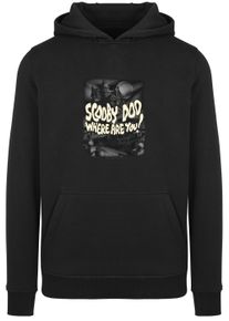 F4NT4STIC Herren Sweatshirt "F4NT4STIC Herren Scooby Doo Scary Castle with Heavy Hoody", schwarz, Gr. XL, unifarben, 65% Baumwolle, 35% Polyester,