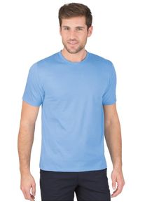 TRIGEMA Herren T-Shirt "TRIGEMA T-Shirt aus 100% Baumwolle", blau, Basic, Gr. XL, 100% Baumwolle, Shirts