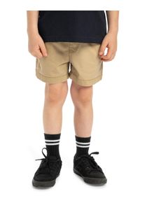 Quiksilver Kinder Bermudas "Taxer Boy 15"", grün, Gr. 5, 98% Baumwolle, 2% Elasthan, Hosen