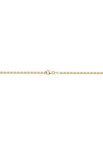 Firetti Damen Collierkettchen "Schmuck Geschenk Gold 333 und 585 Armband Kette Ankerkette diamantiert", 70, Gelbgold 585, B: 2,5mm, gold, Gelbgold