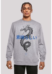F4NT4STIC Herren Kapuzenpullover "Drache Lila", grau, casual, Gr. 5XL, Obermaterial: 50% Baumwolle, 50% Polyester, Pullover, Print