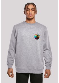 F4NT4STIC Herren Kapuzenpullover "Colorfood Collection - Rainbow Apple", grau, casual, Gr. S, Obermaterial: 50% Baumwolle, 50% Polyester, Pullover,