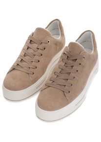 Ara Damen Plateausneaker "CANBERRA", Gr. 3,5, beige, Veloursleder, unifarben, sportlich, Schuhe, Freizeitschuh, Plateausneaker in bequemer Schuhweite