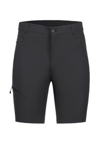 Icepeak Herren Bermudas "H FUNKTIONSSHORT BERWYN", grau, sportlich, Gr. 58, Obermaterial: 90% Polyester, 10% Elasthan, Hosen