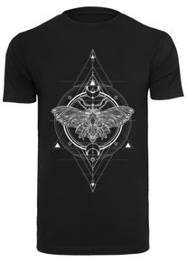 MisterTee Herren Kurzarmshirt "MisterTee Damen Ladies Moth Tee", schwarz, casual, Gr. XL, bedruckt, 100% Baumwolle, Shirts
