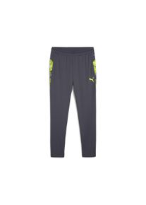 Puma Herren Sporthose "IndividualCUP Fußballhose Herren", grau, Gr. XL, bedruckt, Obermaterial: 100% Polyester; Taschenfutter: 100% Polyester;