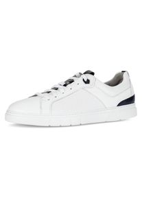 Pius Gabor Herren Plateausneaker, Gr. 7, weiß, Nappaleder, sportlich, Schuhe, Freizeitschuh, Halbschuh, Schnürschuh mit Perforierung, Weite G