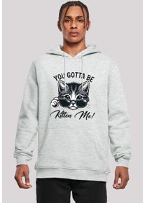 F4NT4STIC Herren Kapuzenpullover "Kätzchen You Gotta Be Kitten Me", grau, casual, Gr. L, Obermaterial: 65% Baumwolle, 35% Polyester, Pullover,