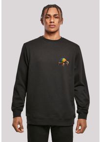 F4NT4STIC Herren Kapuzenpullover "Rainbow Turtle CREWNECK", schwarz, casual, Gr. 5XL, Obermaterial: 50% Baumwolle, 50% Polyester, Pullover, Print