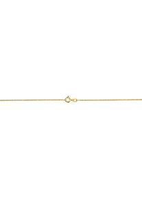 Firetti Damen Collierkettchen "Schmuck Geschenk Gold 333 o. 585 Halskette Fuchsschwanzkette dreifach", 40, Gelbgold 333, B: 1,1mm, gold, Gelbgold