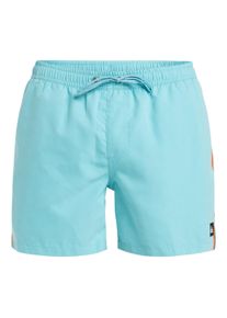 Quiksilver Herren Boardshorts "Everyday Beach 15"", blau, Gr. M, 100% Polyester, Hosen