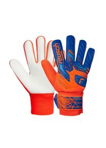 Reusch Kinder Torwarthandschuhe "Attrakt Starter Solid Junior", orange, sportlich, Gr. 4, mehrfarbig, 29% Polyester, 5% Polyurethan, 1% Baumwolle,