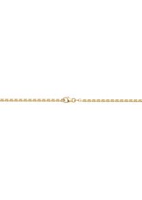 Firetti Damen Collierkettchen "Schmuck Geschenk Gold 333 und 585 Armband Kette Ankerkette diamantiert", 19, Gelbgold 585, B: 2mm, gold, Gelbgold 585,