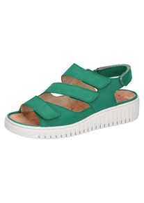 Waldläufer WALDLÄUFER Damen Keilsandalette "H-Willow", Gr. 4, grün, Nubukleder, unifarben, klassisch, Schuhe, Sommerschuh, Sandale, Keilabsatz, mit