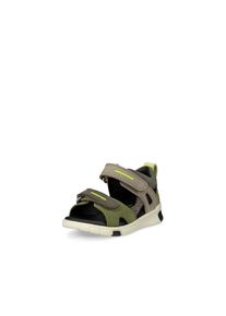 Ecco Kinder Lauflernschuh "MINI STRIDE SANDAL", Gr. 20olivgrün, taupe, Leder, casual, Schuhe, Sandale, Sommerschuh, Urlaubschuh mit Klettverschlüssen