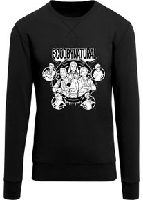 F4NT4STIC Herren Rundhalspullover "F4NT4STIC Herren", schwarz, casual, Gr. XS, unifarben, 100% Baumwolle, Pullover